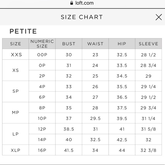 LOFT Leopard Print Pullover Blouse - Picture 6 of 7